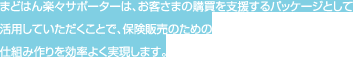 まどはん楽々サポーターは、お客さまの購買を支援するパッケージとして活用していただくことで、保険販売のための仕組み作りを効率よく実現します。